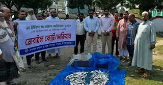 চাঁপাইনবাবগঞ্জে অভিযান; ৫৫ কেজি ইলিশ জব্দ করে এতিমখানায় বিতরণ